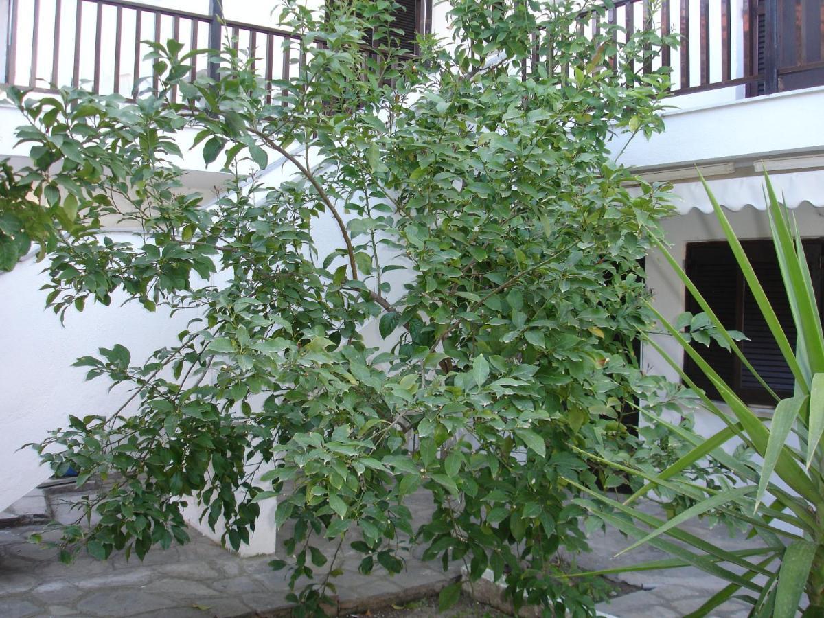 Dionysus-Mihanicus Ierissos Dış mekan fotoğraf